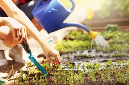 Gardeners Dartmouth Park maintaining a leafy residential garden