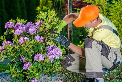 Accessible Gardeners Dartmouth Park website experience overview