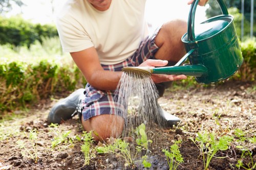 Healthy green lawn care in Dartmouth Park garden