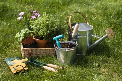 Tidy outdoor space in Dartmouth Park after professional garden maintenance