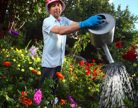 Removing branches, weeds, and green waste during Dartmouth Park garden clearance