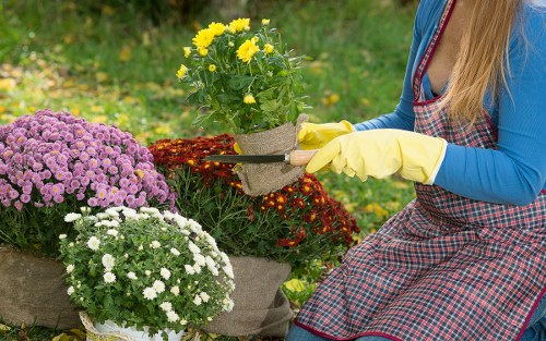 Governing law and final terms for garden service agreement