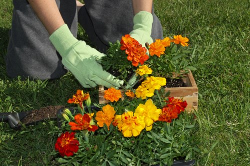 Supplier audit and risk management process for gardening services