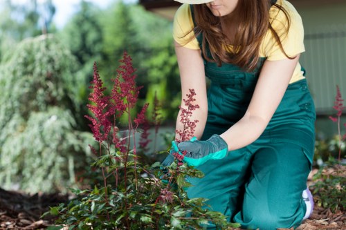Wildlife-friendly garden maintenance in Dartmouth Park
