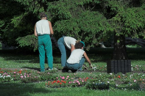 Screen-reader friendly gardening services page for Dartmouth Park