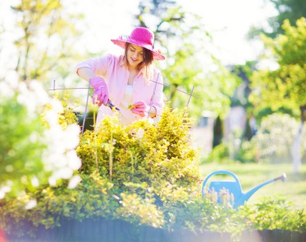 Professional local gardeners working on a well-kept border in Dartmouth Park