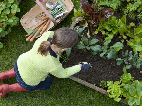 Public liability insurance and safe gardening practices in Dartmouth Park