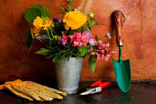 SSL encrypted payments for Gardeners Dartmouth Park services