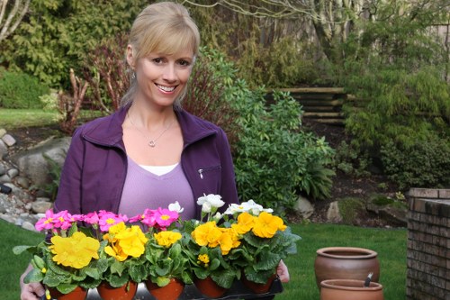 Professional garden waste removal and tidy-up in Dartmouth Park