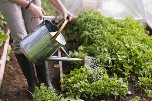 Local gardening services improving outdoor spaces in Dartmouth Park