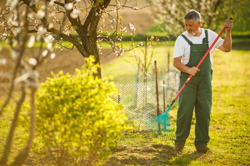 Professional garden care for Dartmouth Park outdoor spaces