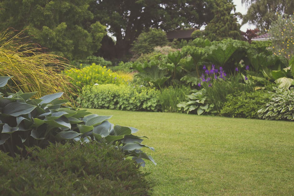 A well-maintained garden featuring lush green lawn with neatly trimmed grass, bordered by a variety of plants and shrubs including large leafy hostas with broad, textured leaves, and ornamental grasse