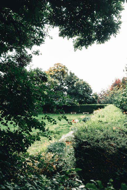 A well-maintained garden featuring lush green lawn with neatly trimmed grass, bordered by a variety of plants and shrubs including large leafy hostas with broad, textured leaves, and ornamental grasse