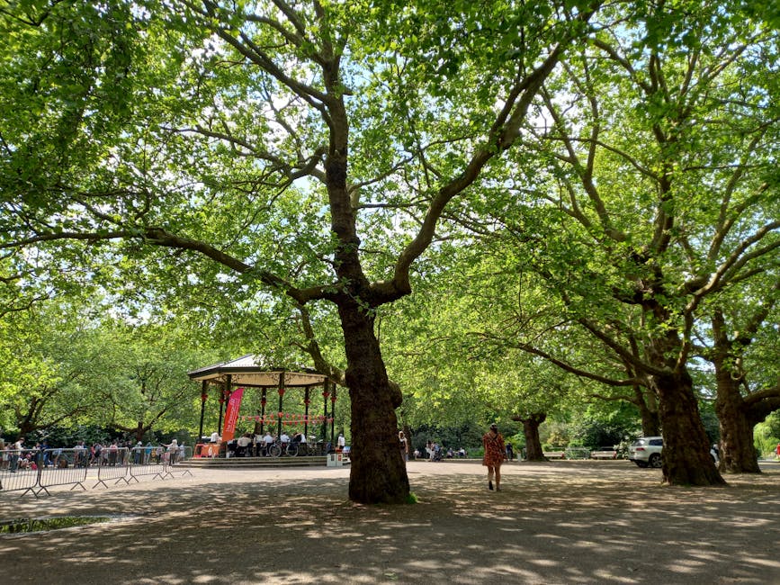 A spacious garden area featuring large, mature trees with thick trunks and spreading branches covered in bright green leaves, providing ample shade over a dirt and grass surface. In the background, th