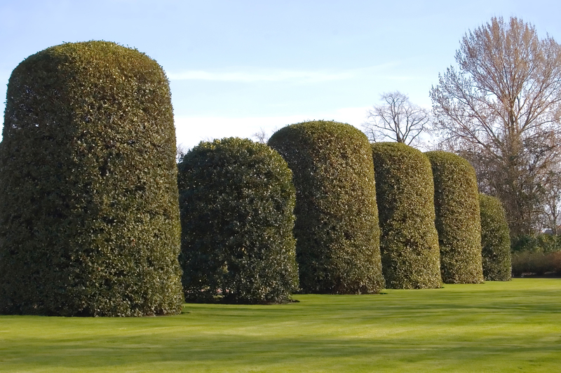 Home trees